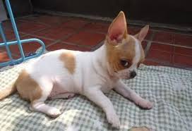 KU酷游·(中文版)官方网站